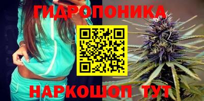 каннабис Славгород