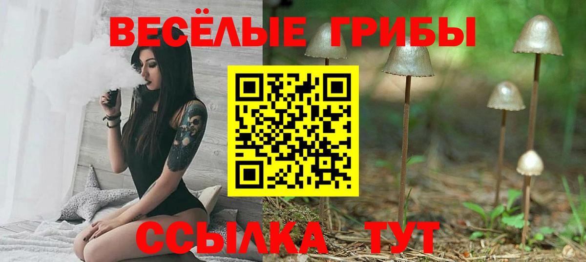 Галлюциногенные грибы MAGIC MUSHROOMS  Псилоцибиновые грибы мицелий  Вход с VPN  купить наркоту  Ликино-Дулёво 